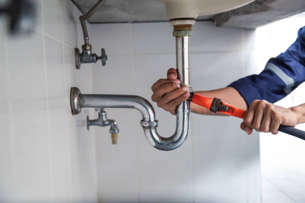 Best Plumbing Repair Near Me  in Deer Park, IL